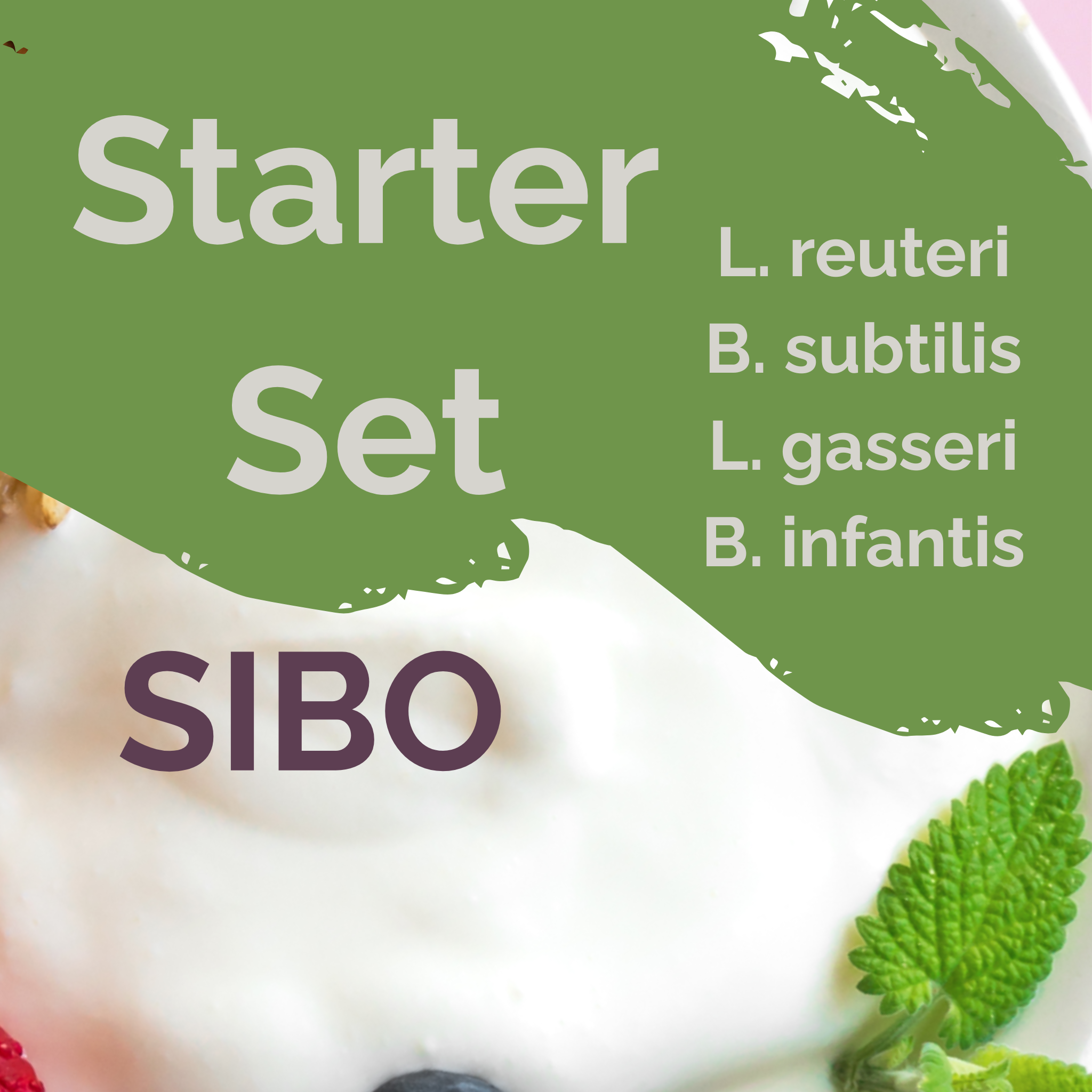 L. reuteri + B. subtilis + L. gasseri + B. infantis | Sada startérů jogurtu | Stabilní SIBO | Startovací kultury | Balení po 3