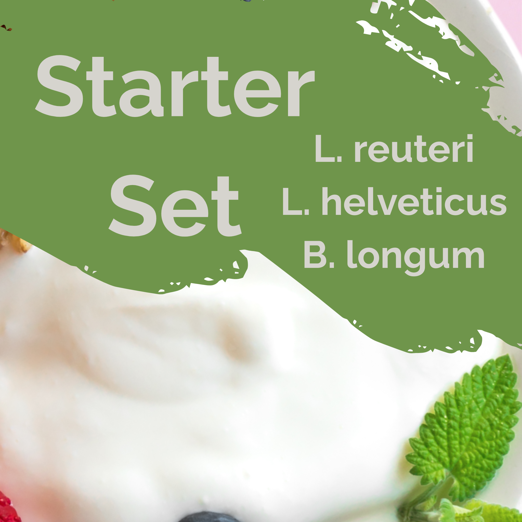 L. reuteri + L. helveticus + B. longum | Sada pro start jogurtu | Harmonie střev | Startovací kultury | Balení po 3