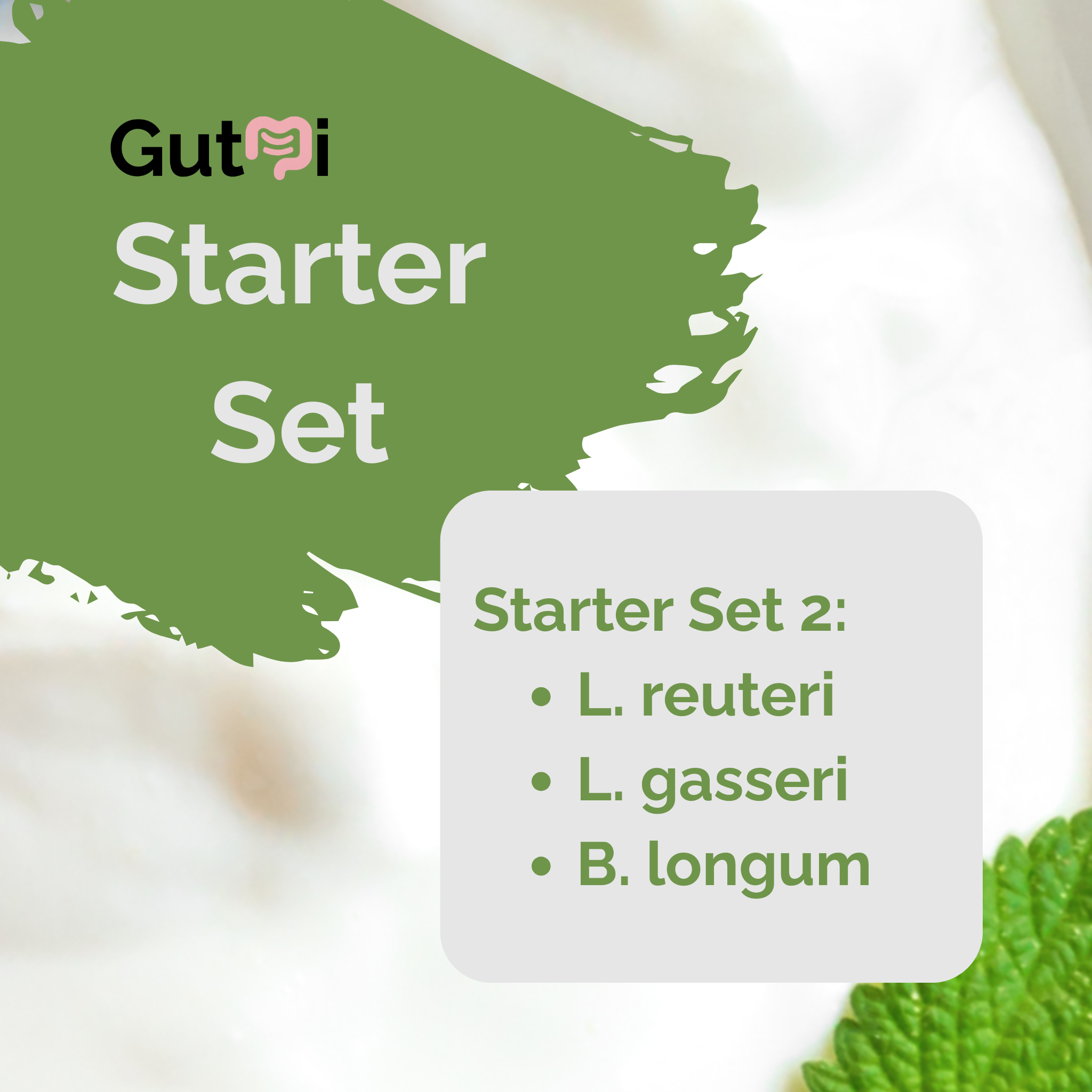 L. reuteri + L. gasseri + B. longum | Yogurt Starter Set | Light Gut | Starter Cultures | Pack of 3