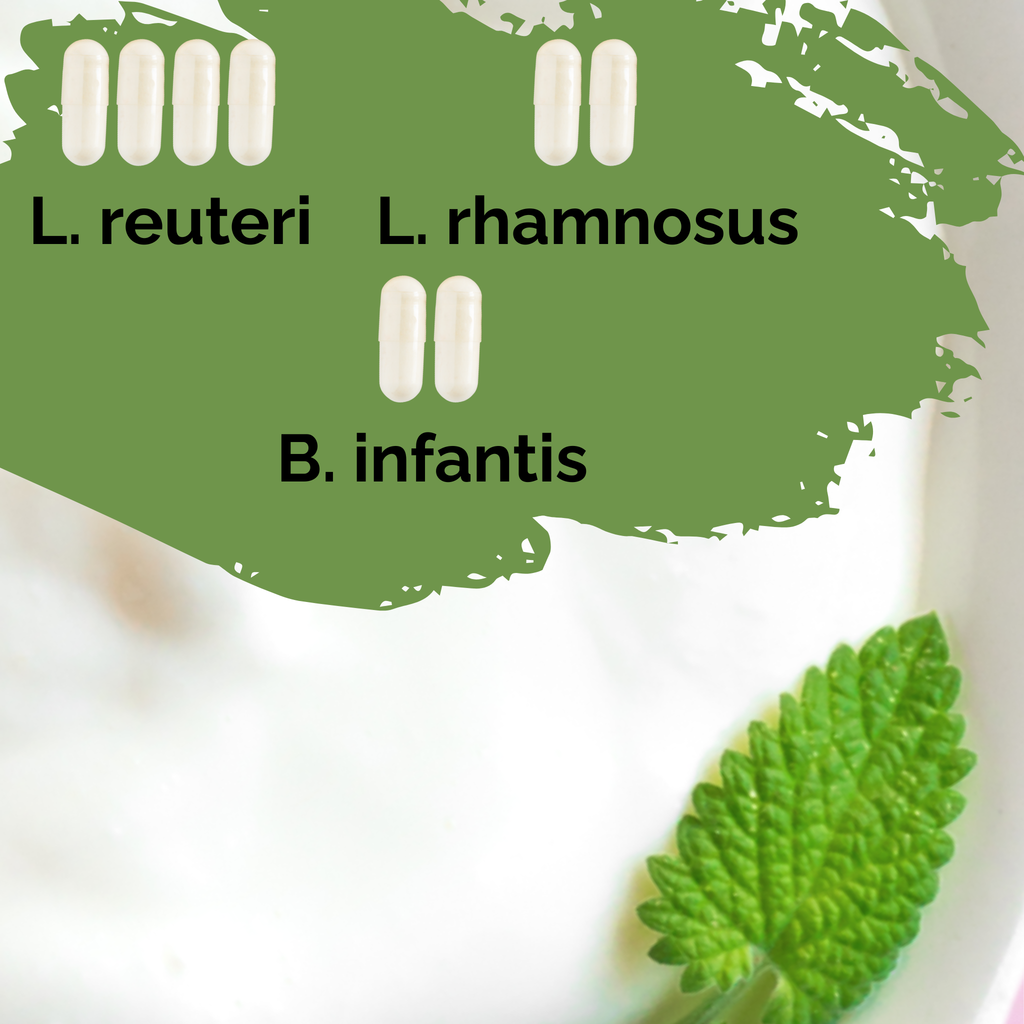 L. reuteri + L. rhamnosus + B. infantis | Sada na start jogurtu | HappyGut | Startovací kultury | Balení po 3