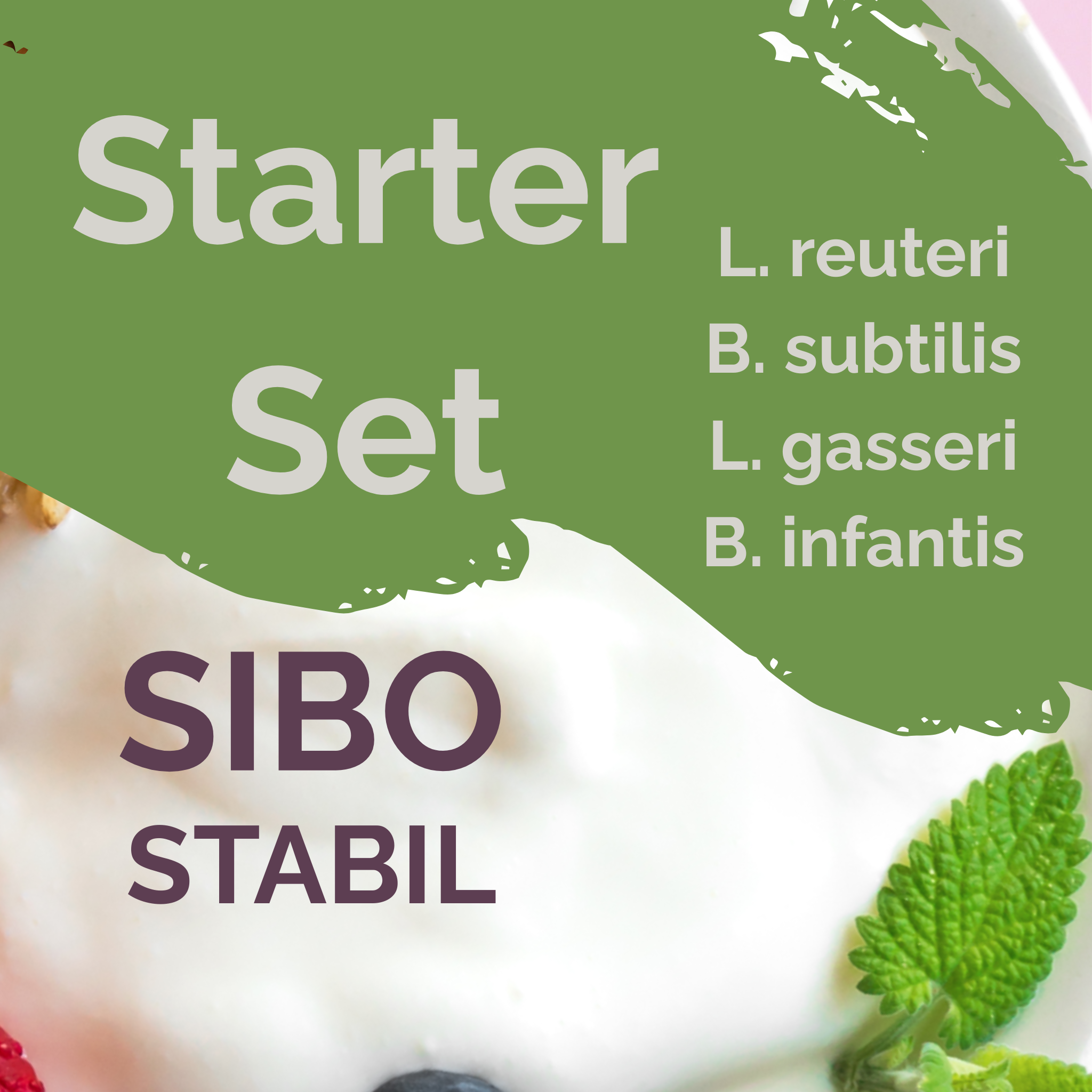 L. reuteri + L. gasseri + B. infantis + B. subtilis | Sada startérů jogurtu | SIBOStable | Startovací kultury | Balení po 3